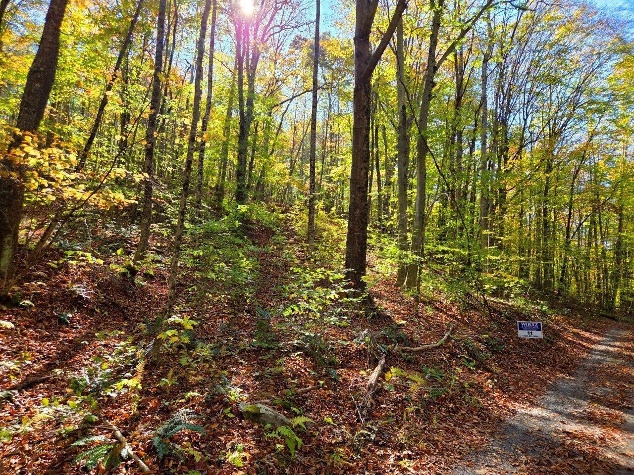 0 Backus Mountain RD - Photo 2