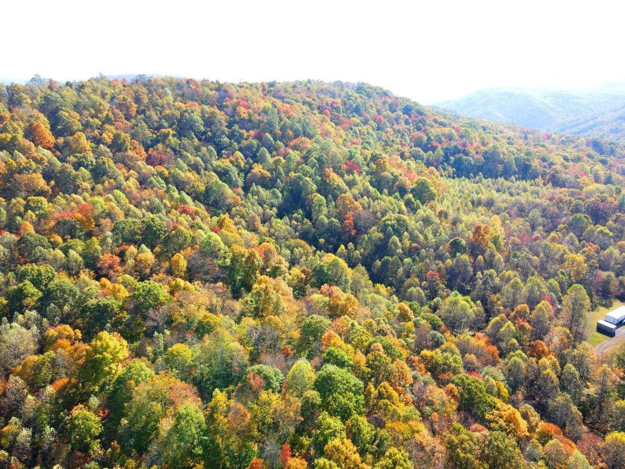 0 Backus Mountain RD - Photo 20