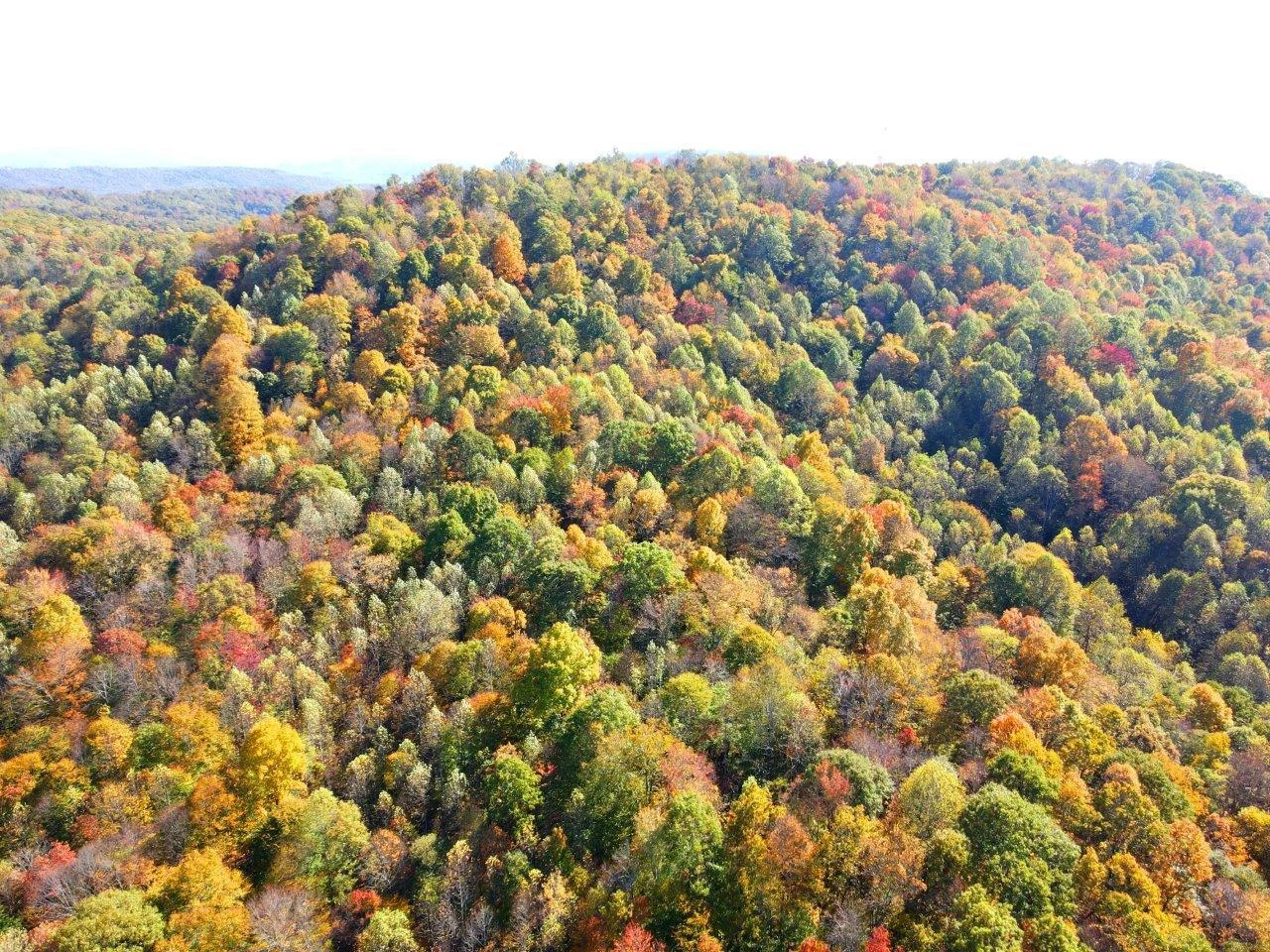 0 Backus Mountain RD - Photo 21