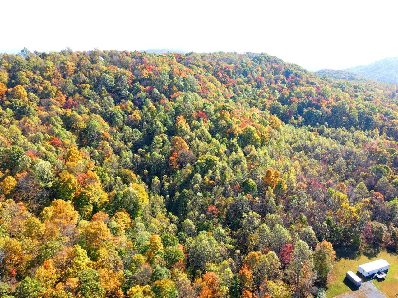 0 Backus Mountain RD - Photo 22