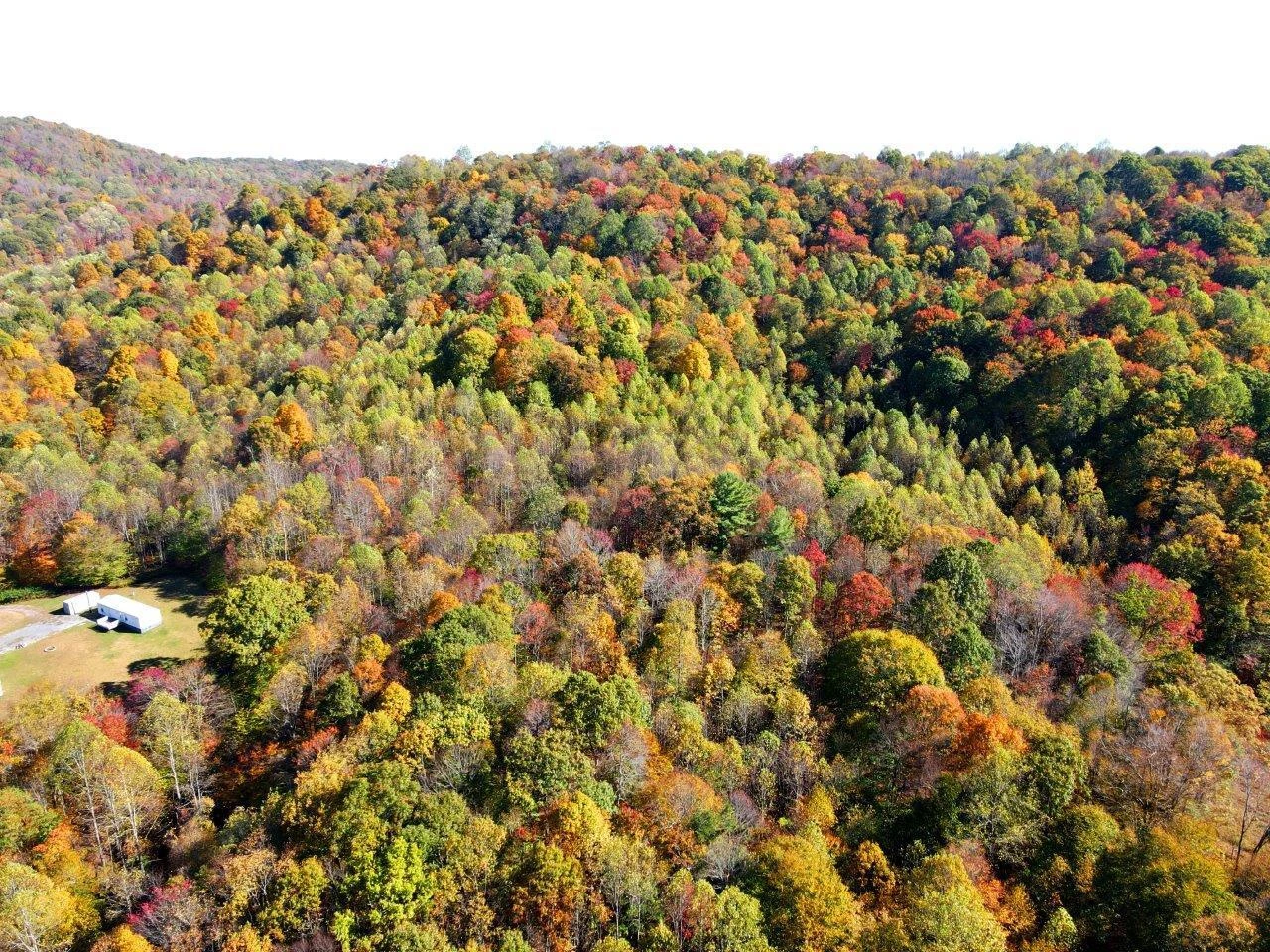 0 Backus Mountain RD - Photo 25