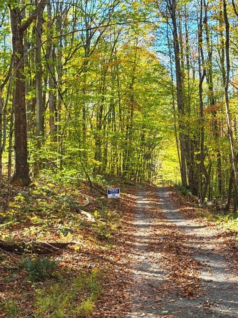 0 Backus Mountain RD - Photo 30
