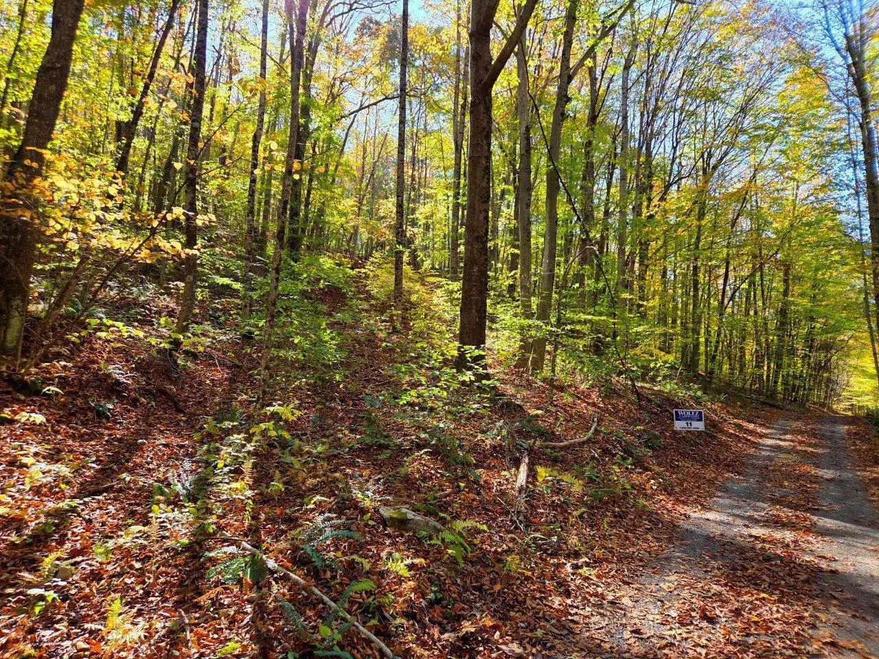 0 Backus Mountain RD - Photo 4