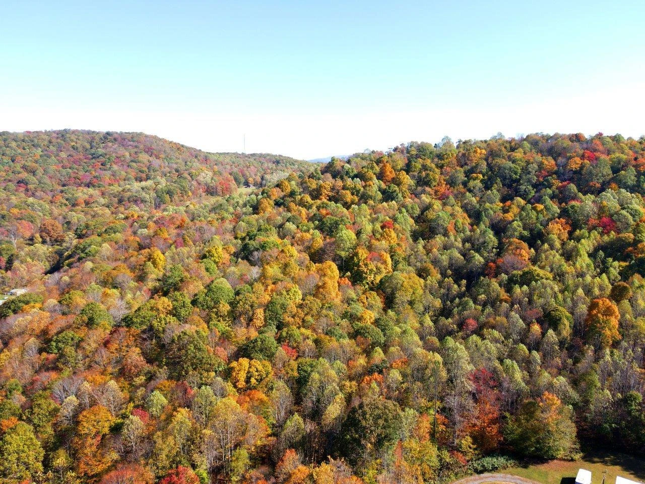0 Backus Mountain RD - Photo 9