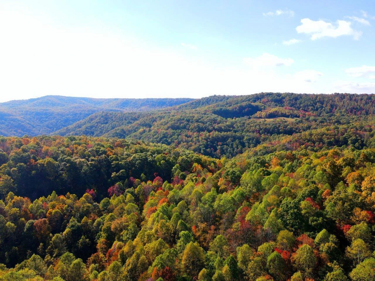 0 Backus Mountain RD
