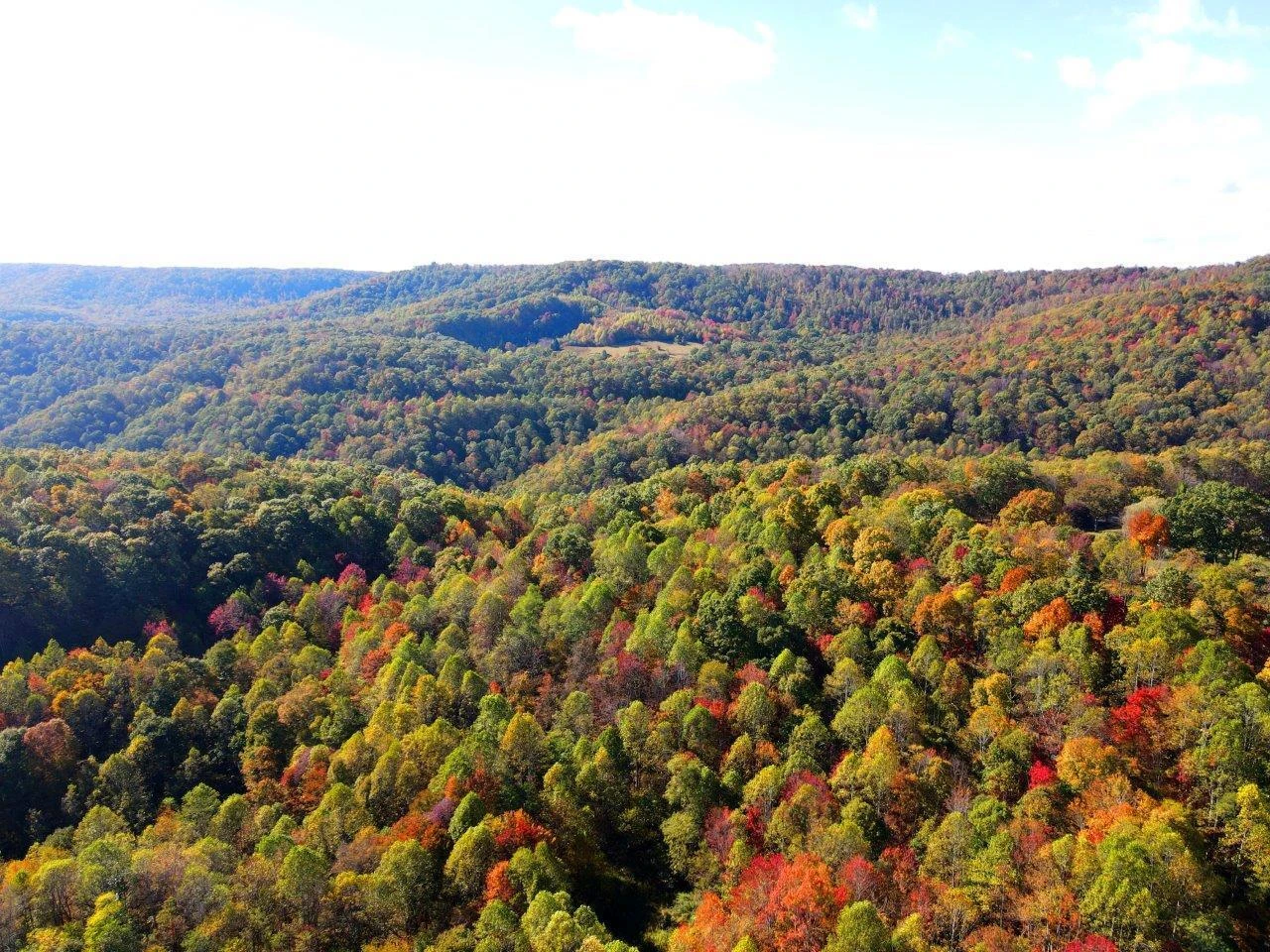 0 Backus Mountain RD - Photo 2