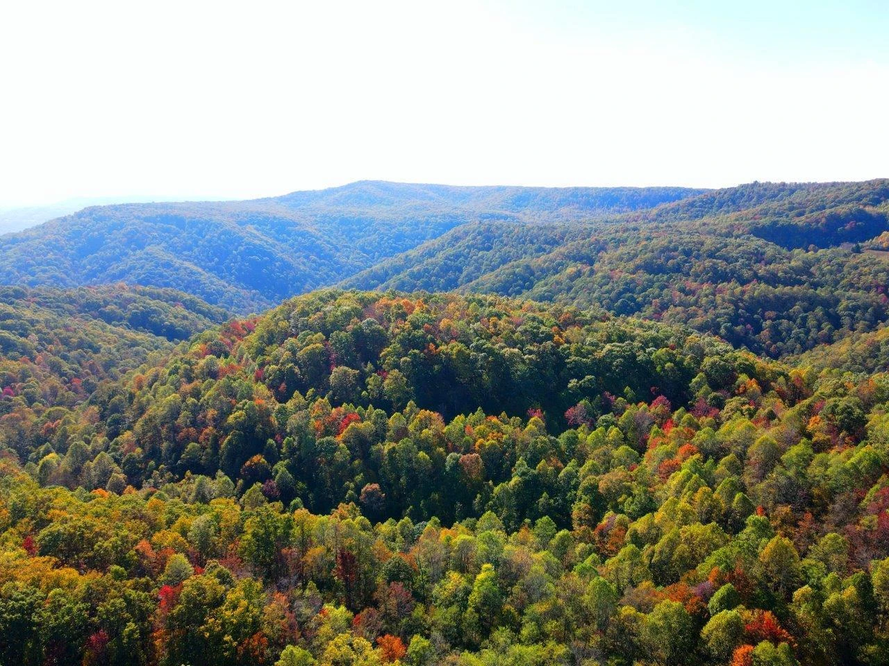 0 Backus Mountain RD - Photo 3