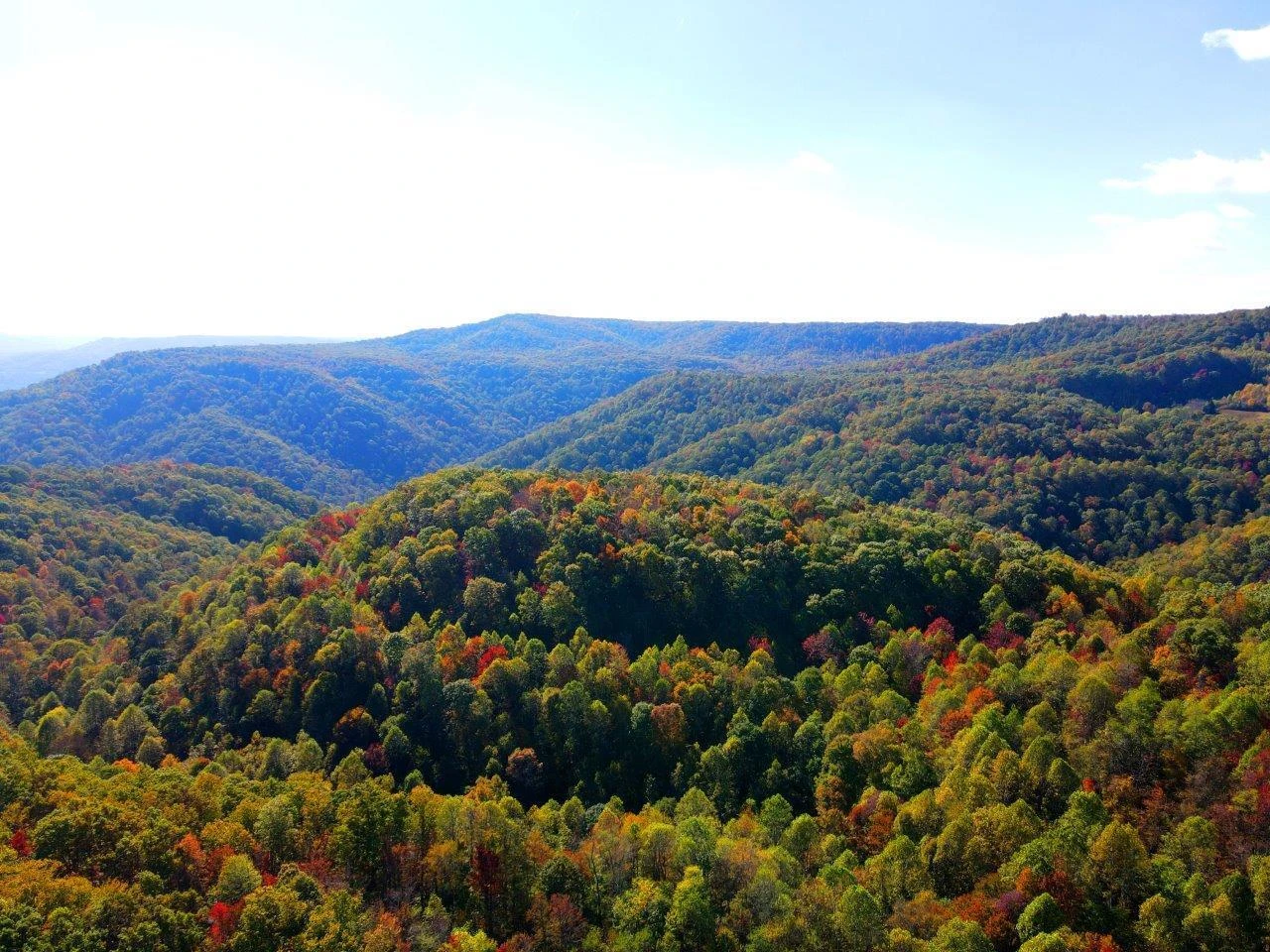 0 Backus Mountain RD - Photo 4