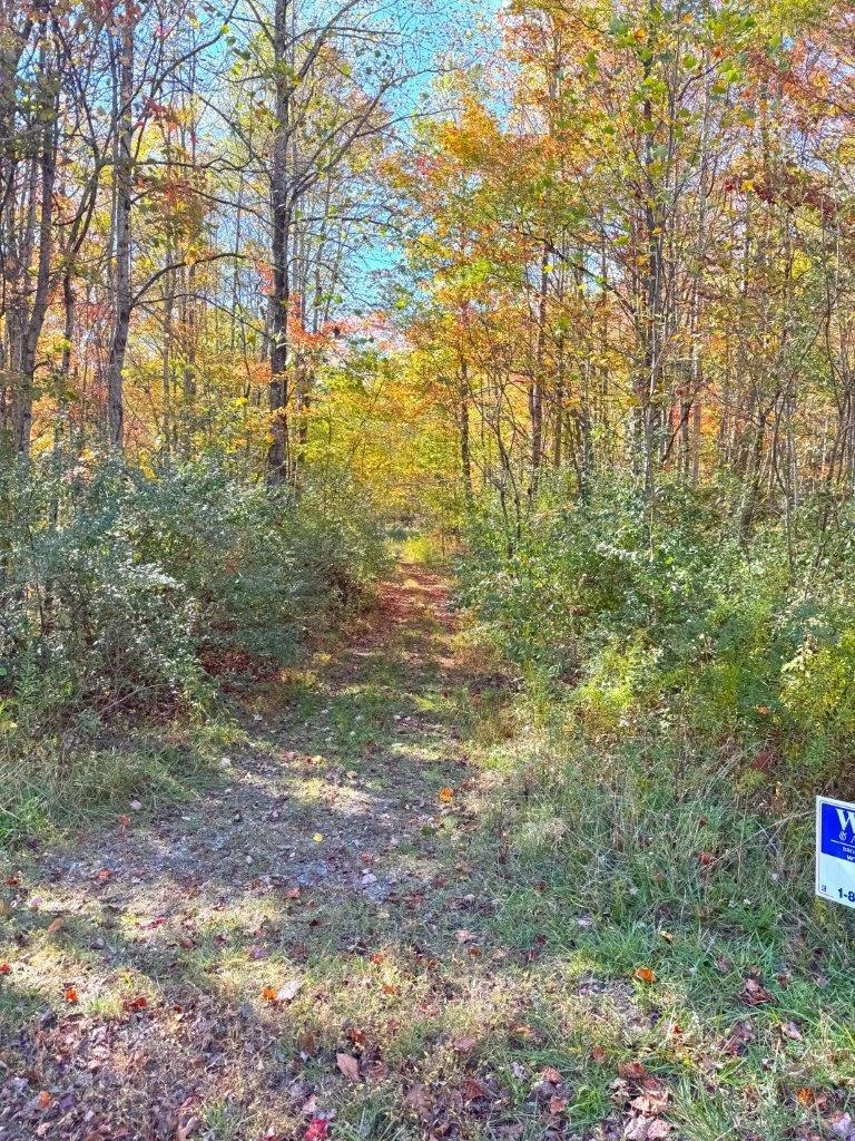 0 Backus Mountain RD - Photo 5