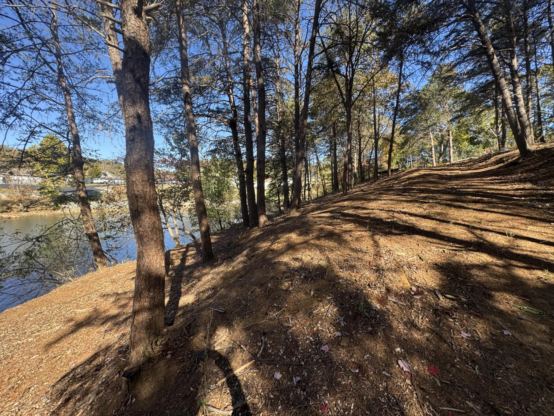 Lot 6 Isle Of Pines DR - Photo 19