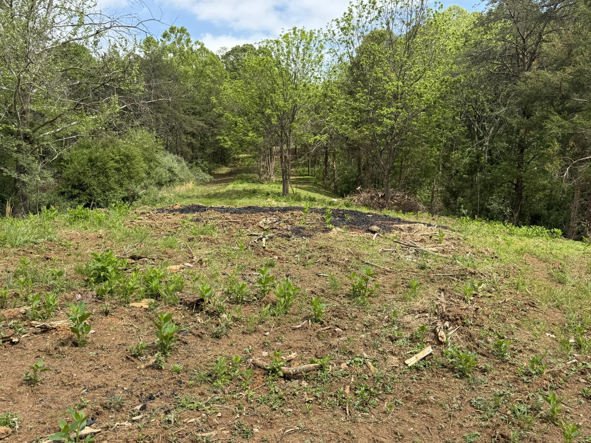Lot 6 Isle Of Pines DR - Photo 24