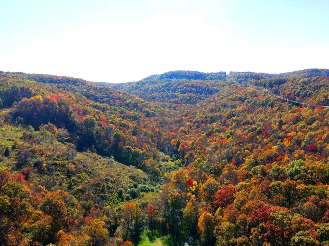 0 Sewell Creek RD - Photo 10