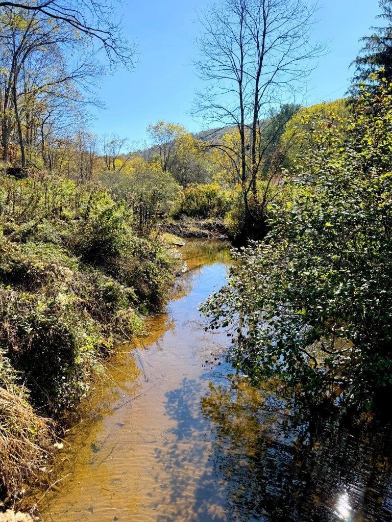 0 Sewell Creek RD - Photo 15
