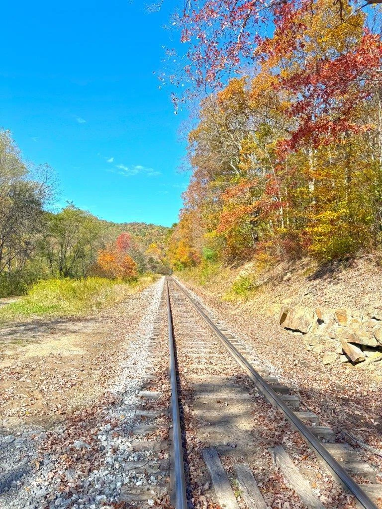 0 Sewell Creek RD - Photo 17