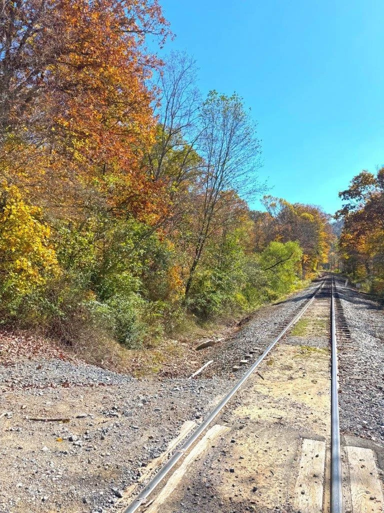 0 Sewell Creek RD - Photo 19