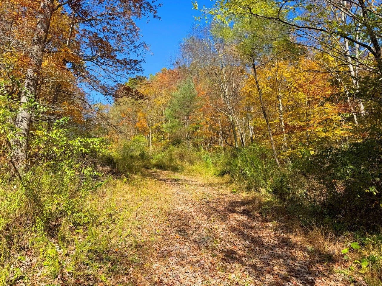 0 Sewell Creek RD - Photo 21
