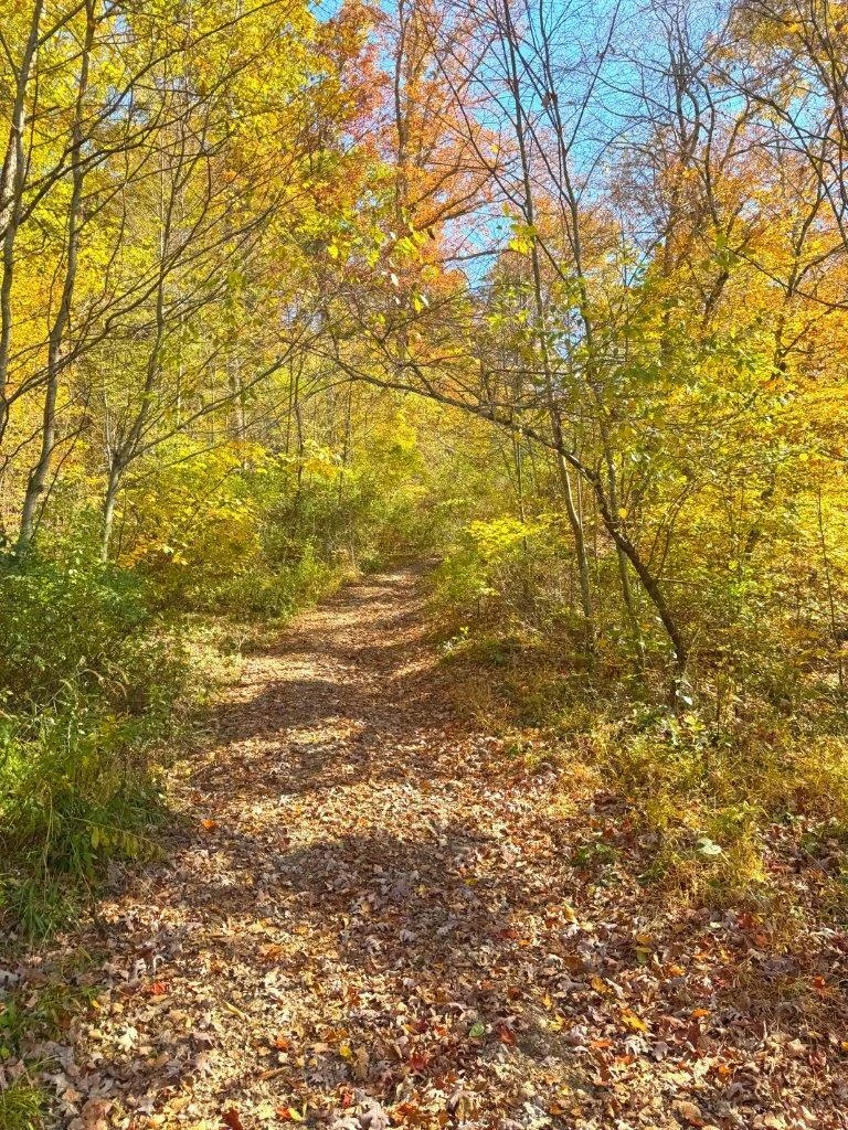 0 Sewell Creek RD - Photo 22