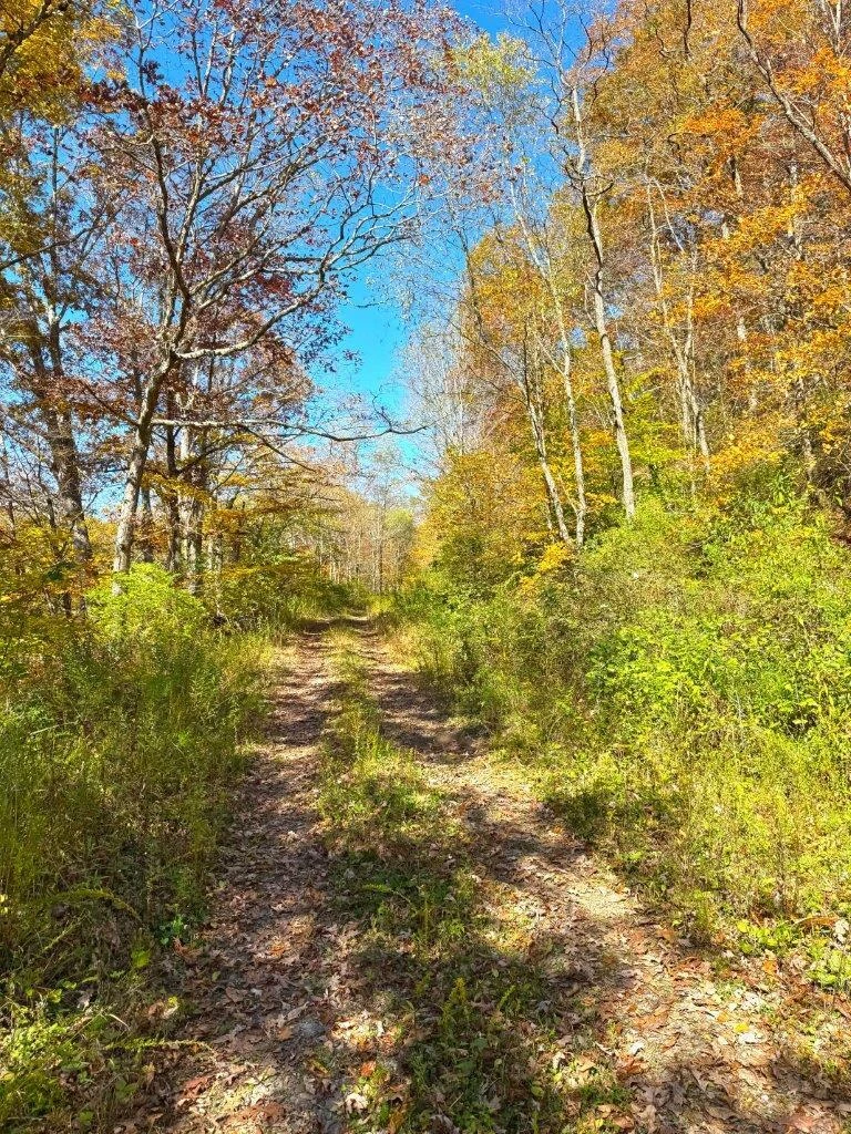 0 Sewell Creek RD - Photo 23