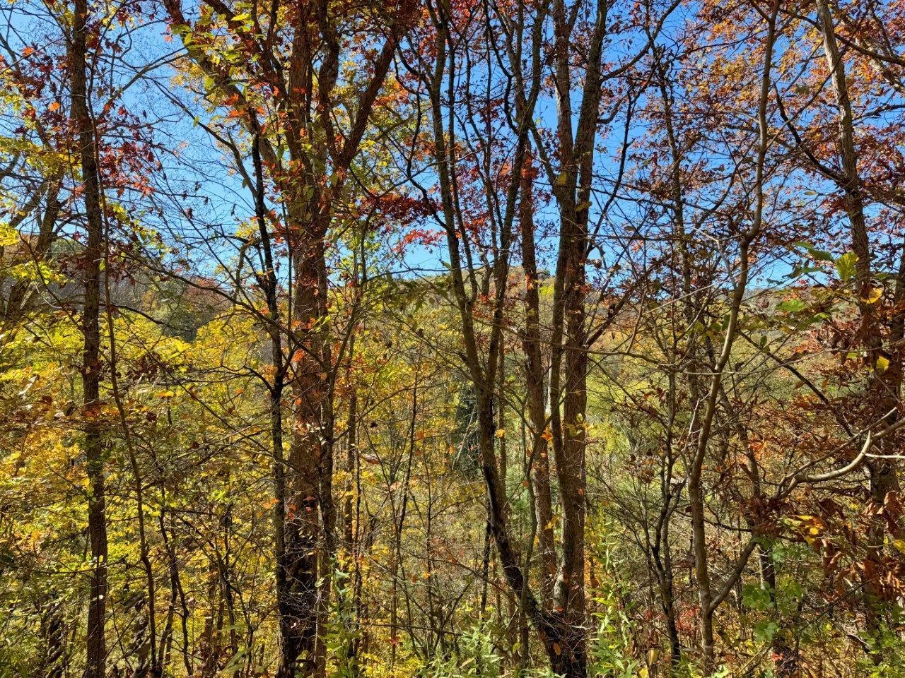 0 Sewell Creek RD - Photo 24
