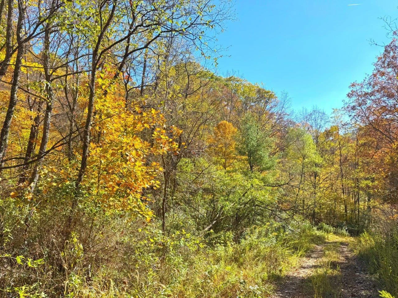 0 Sewell Creek RD - Photo 25