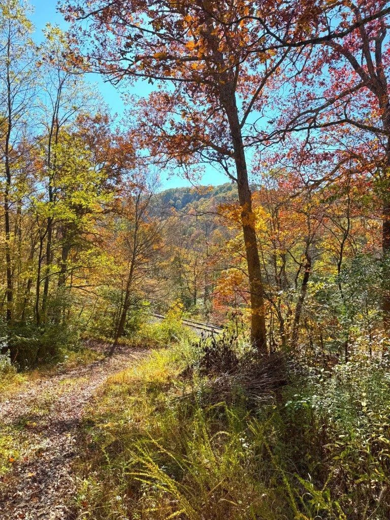0 Sewell Creek RD - Photo 26
