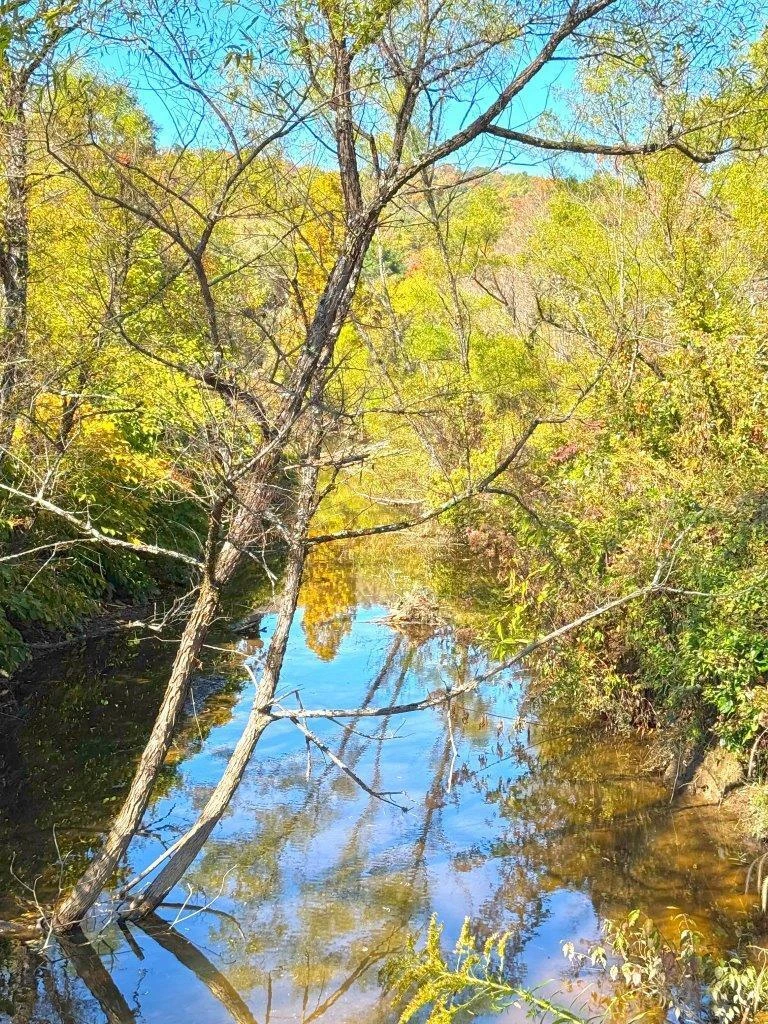 0 Sewell Creek RD - Photo 32