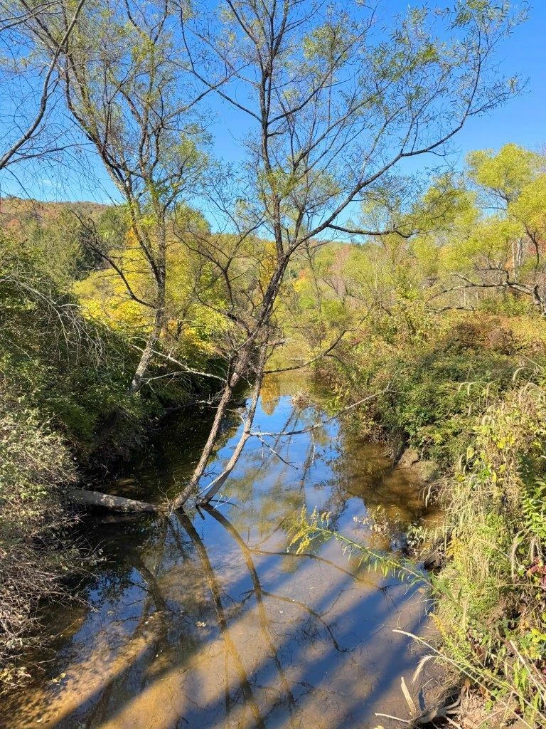 0 Sewell Creek RD - Photo 33