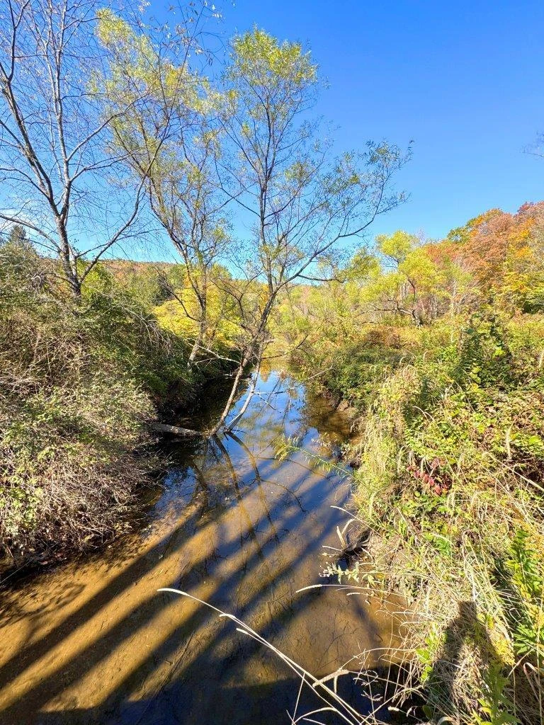 0 Sewell Creek RD - Photo 34