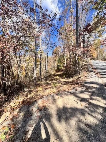 0 Hendrickson RD, Pembroke, VA, 24136