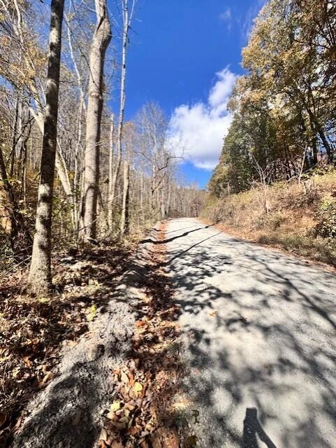 0 Hendrickson RD - Photo 10