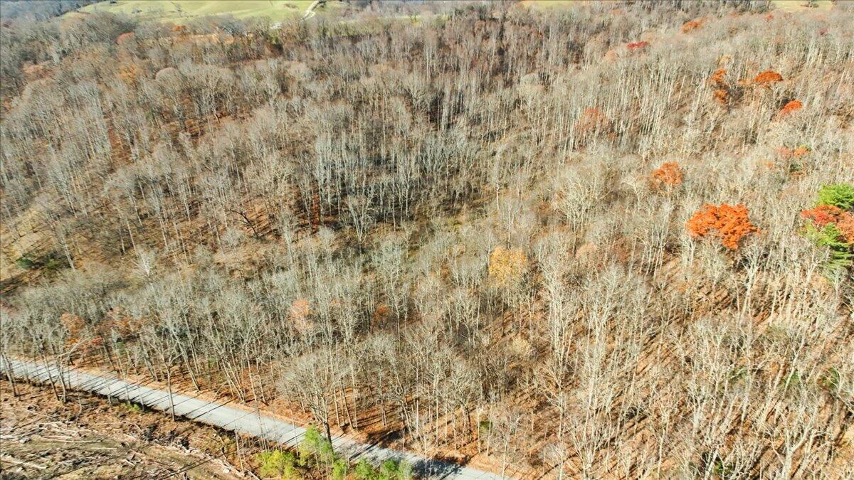 0 Hendrickson RD - Photo 13