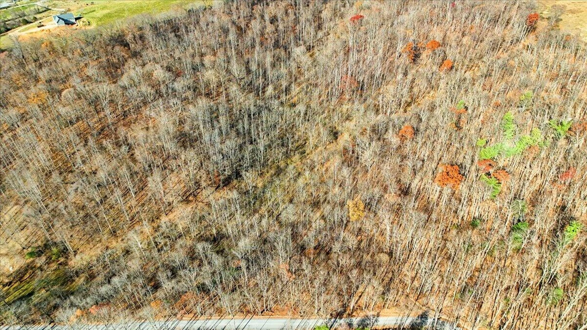0 Hendrickson RD - Photo 14