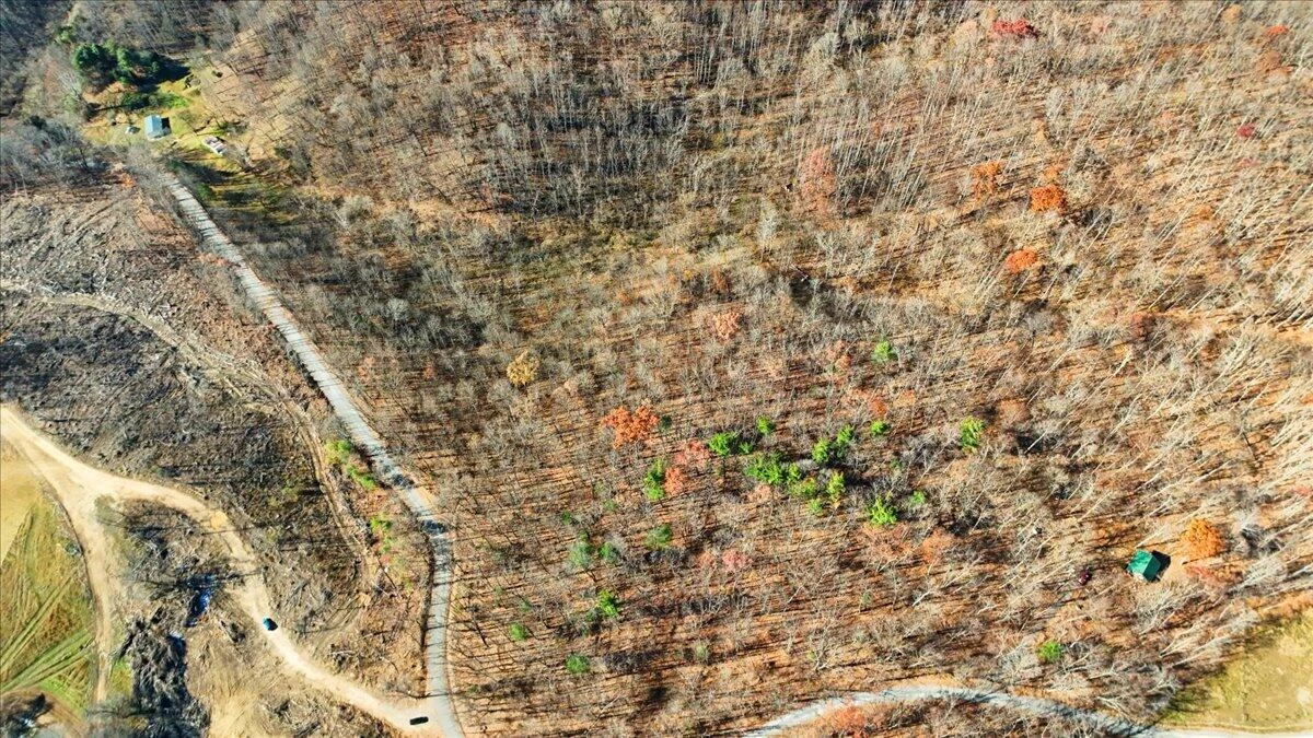 0 Hendrickson RD - Photo 18