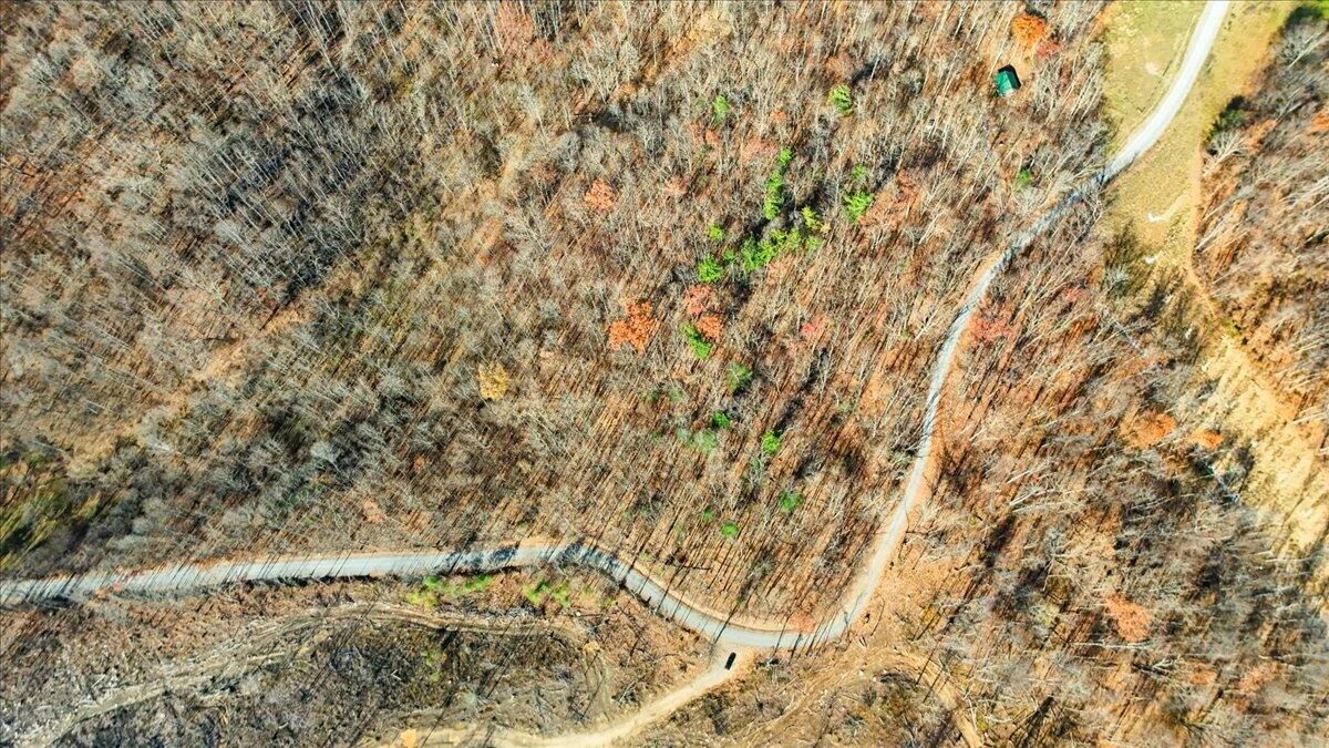 0 Hendrickson RD - Photo 19