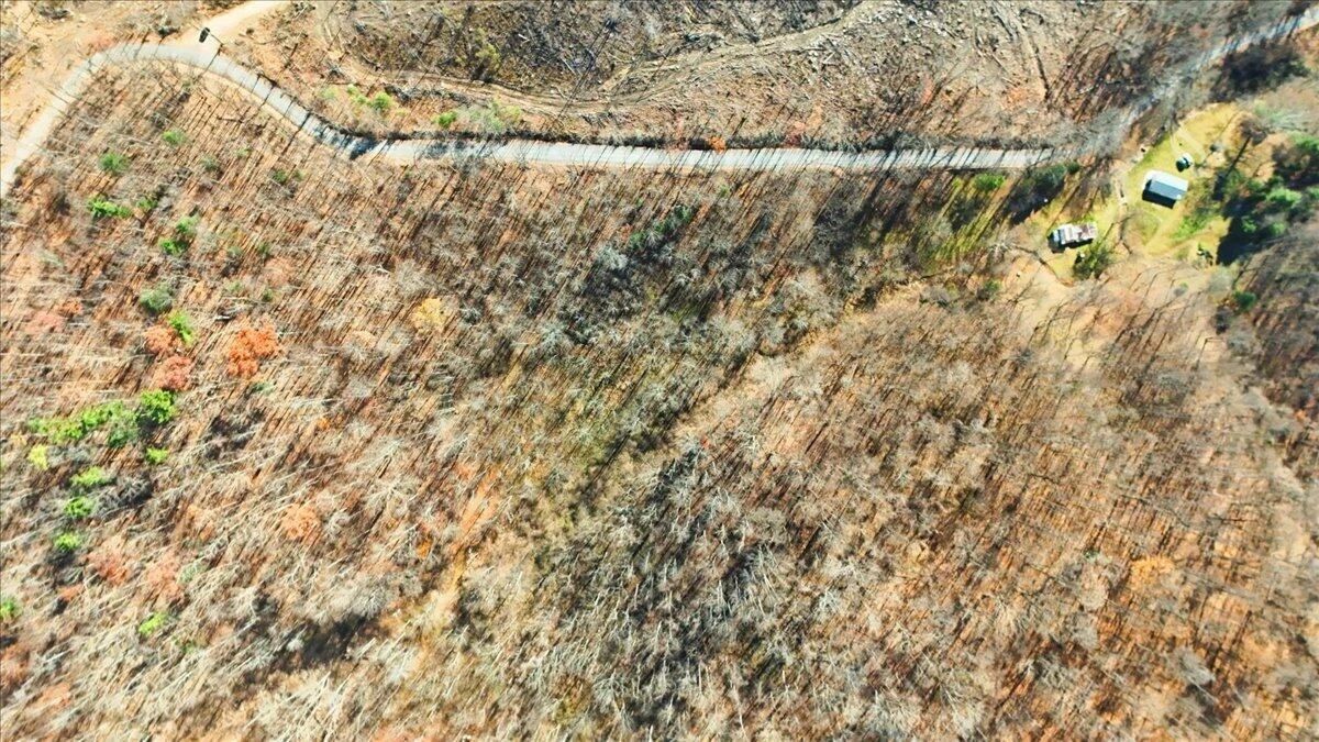 0 Hendrickson RD - Photo 21
