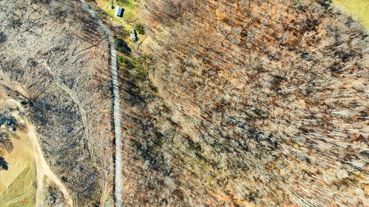 0 Hendrickson RD - Photo 24