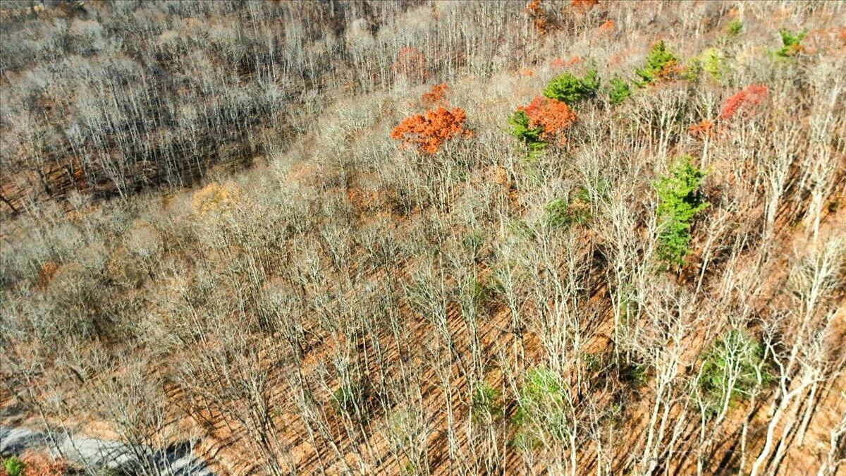 0 Hendrickson RD - Photo 26