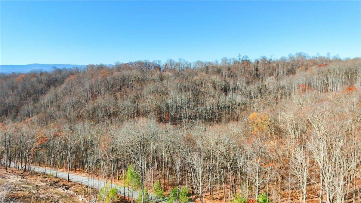 0 Hendrickson RD - Photo 29