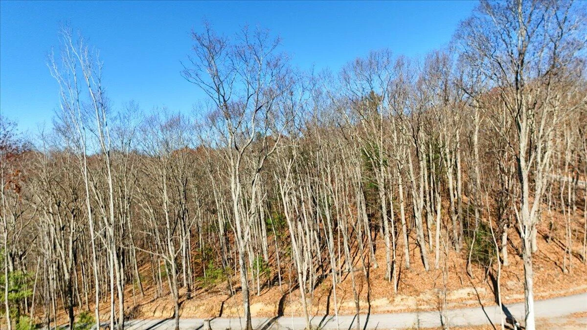 0 Hendrickson RD - Photo 30