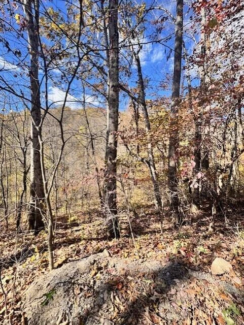 0 Hendrickson RD - Photo 5