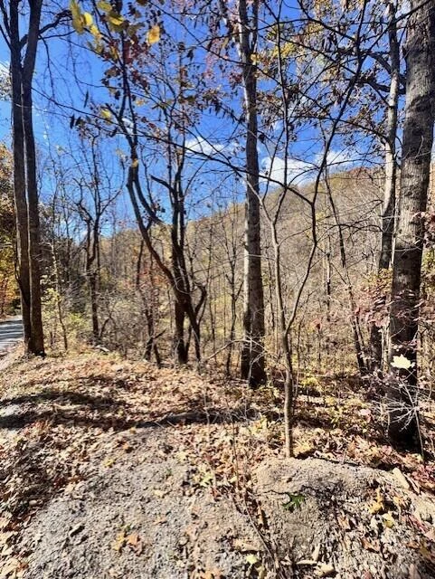 0 Hendrickson RD - Photo 6