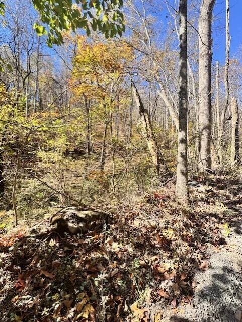 0 Hendrickson RD - Photo 8