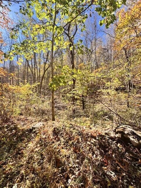 0 Hendrickson RD - Photo 9