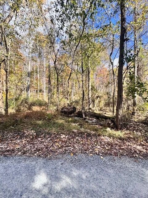 0 Dry Branch RD - Photo 3