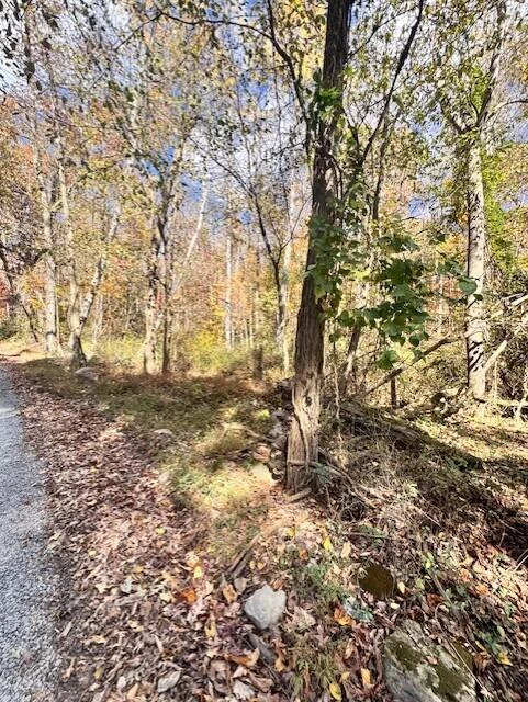 0 Dry Branch RD - Photo 5