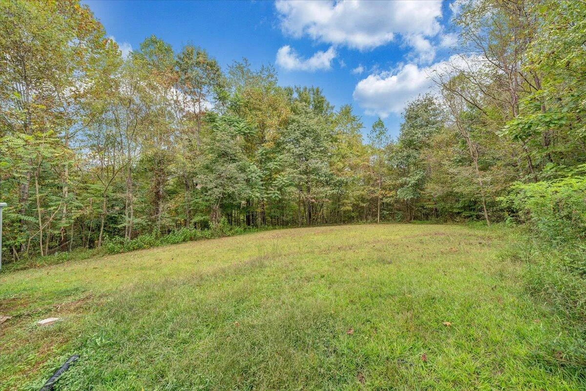 822 Buck Run DR - Photo 48