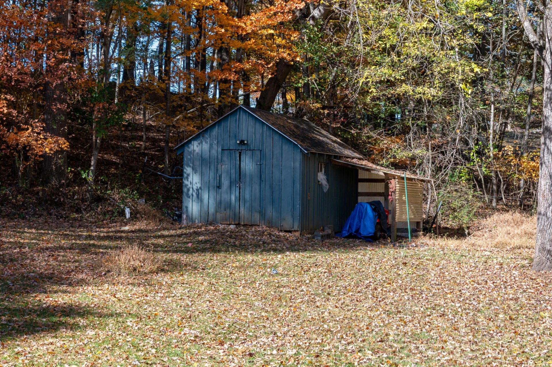 369 Back RD - Photo 30