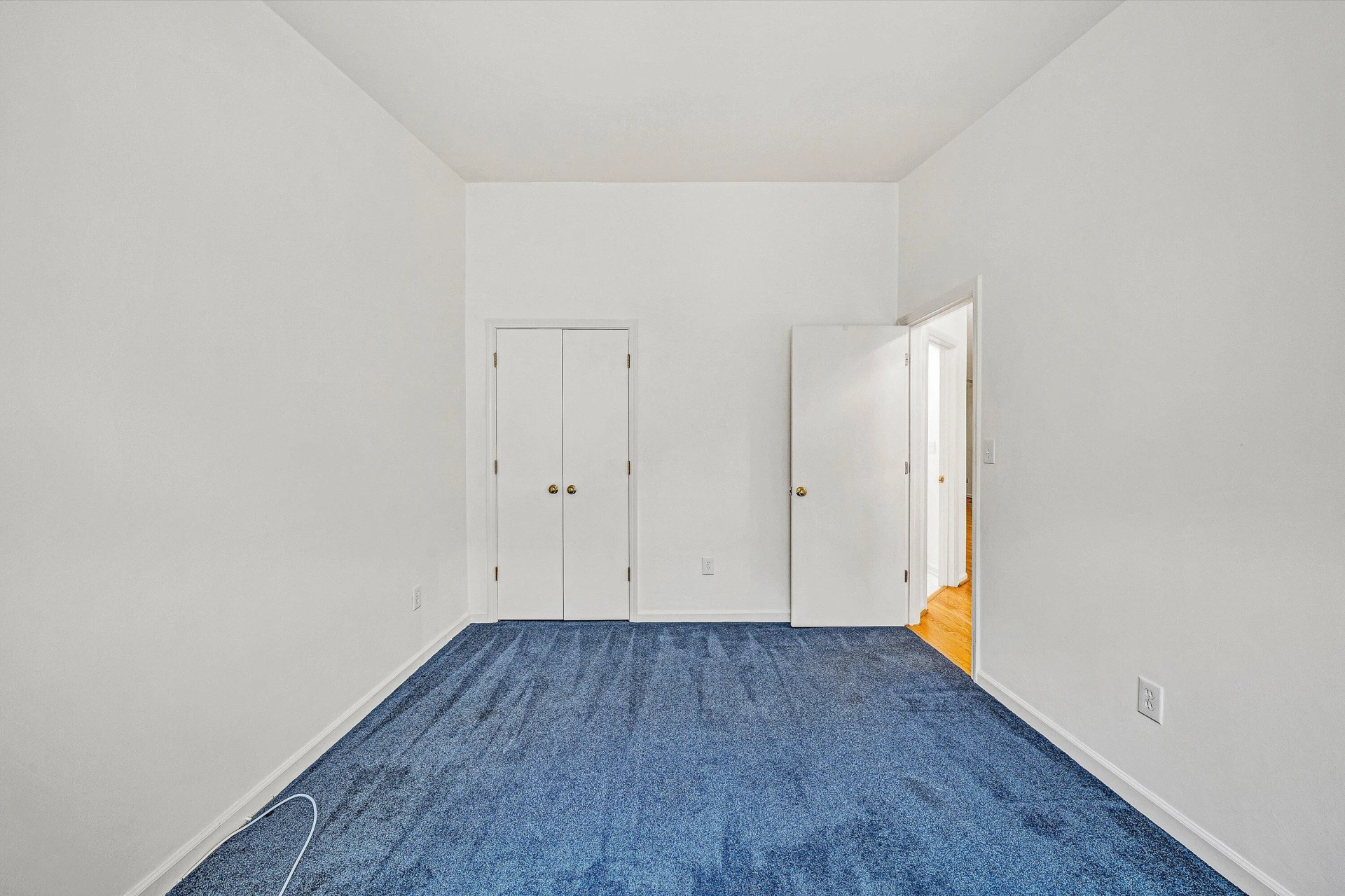 6928 Scotch Pine LN - Photo 13