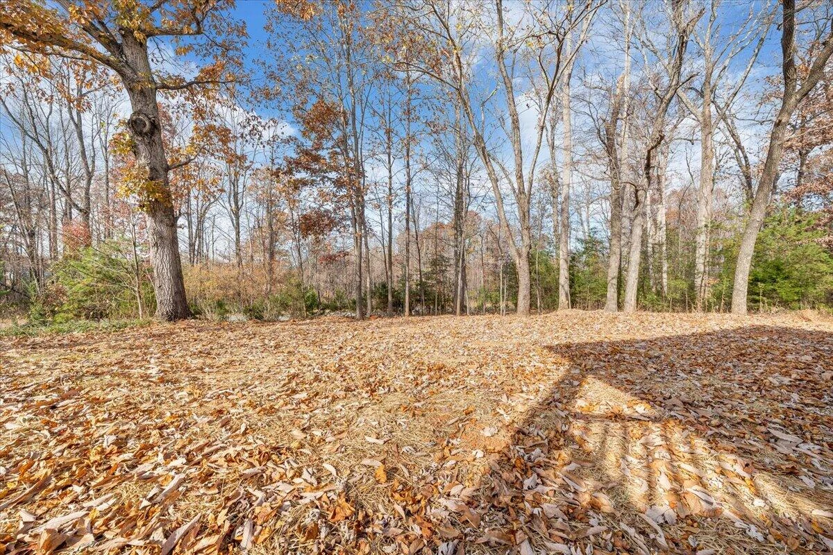 149 Windlass RD - Photo 46