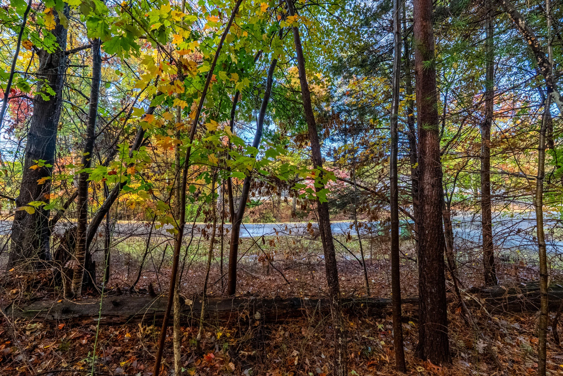 TBD Harbor Landing DR